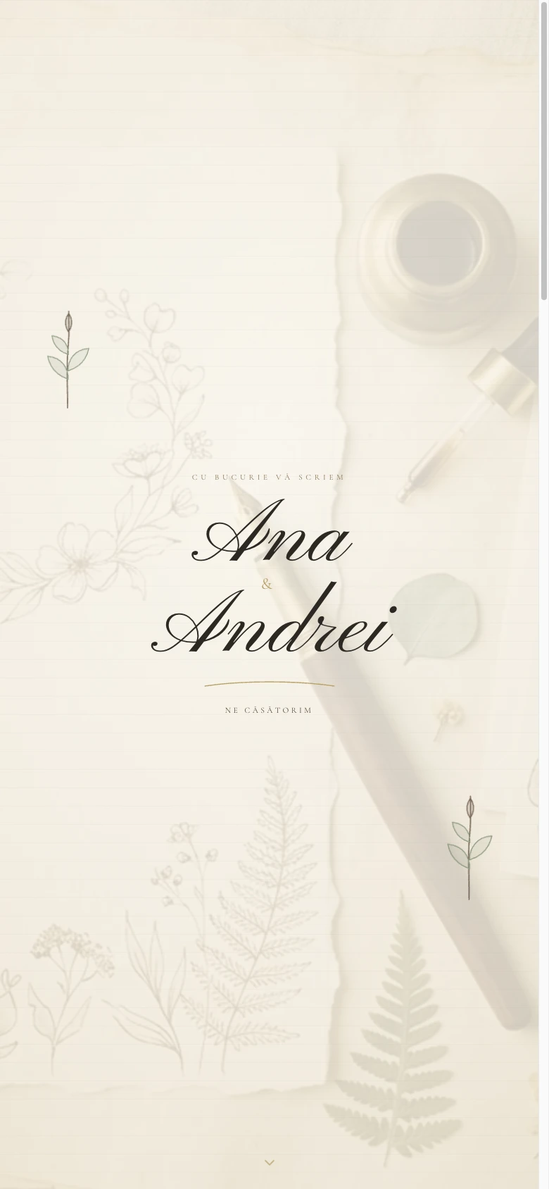 Ink & Vellum